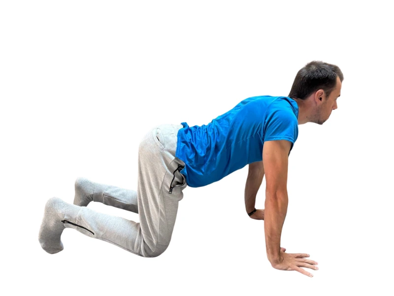 ejercicio de fuerza de hombros posion inicial gato